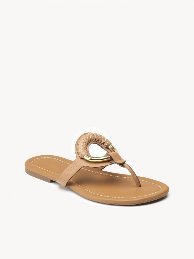 Chloe Hana Flip-flop Flache Schuhe Braun | CHE-SR14818
