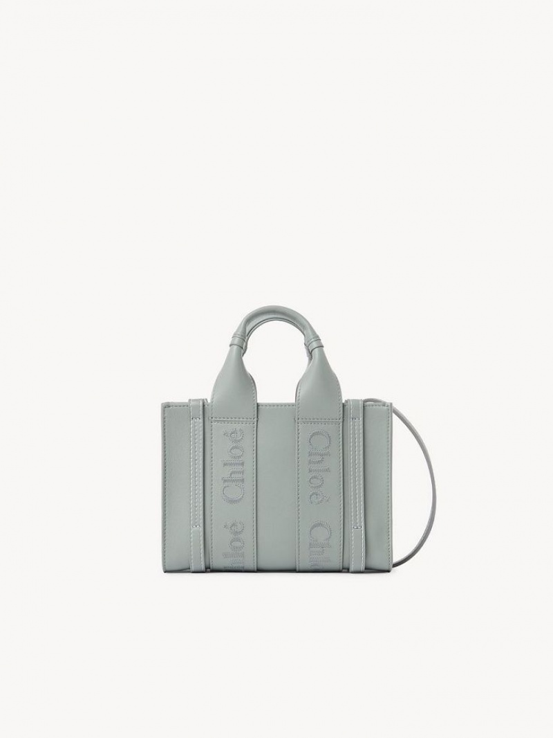 Chloe Mini Woody Crossbody Taschen Grün | CHE-SR13597