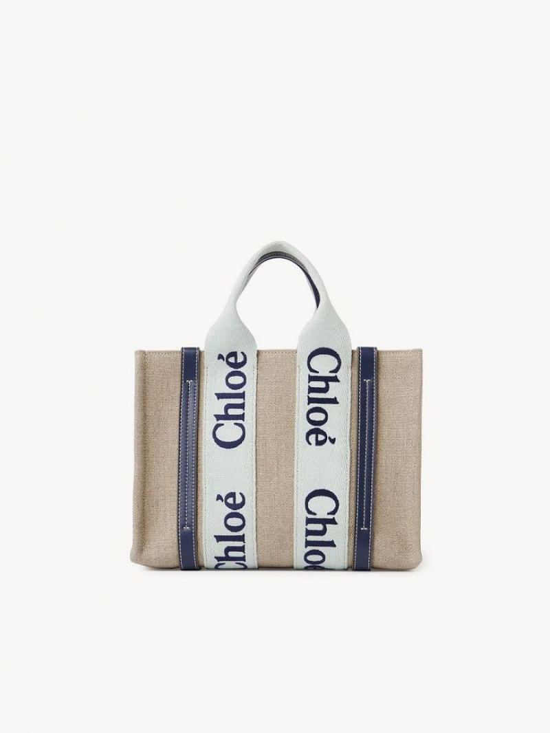 Chloe Small Woody Crossbody Taschen Grün Blau | CHE-SR13568